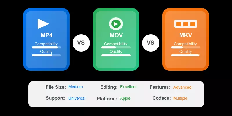 Video Format Comparison