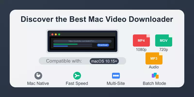 Siovue Video Downloader