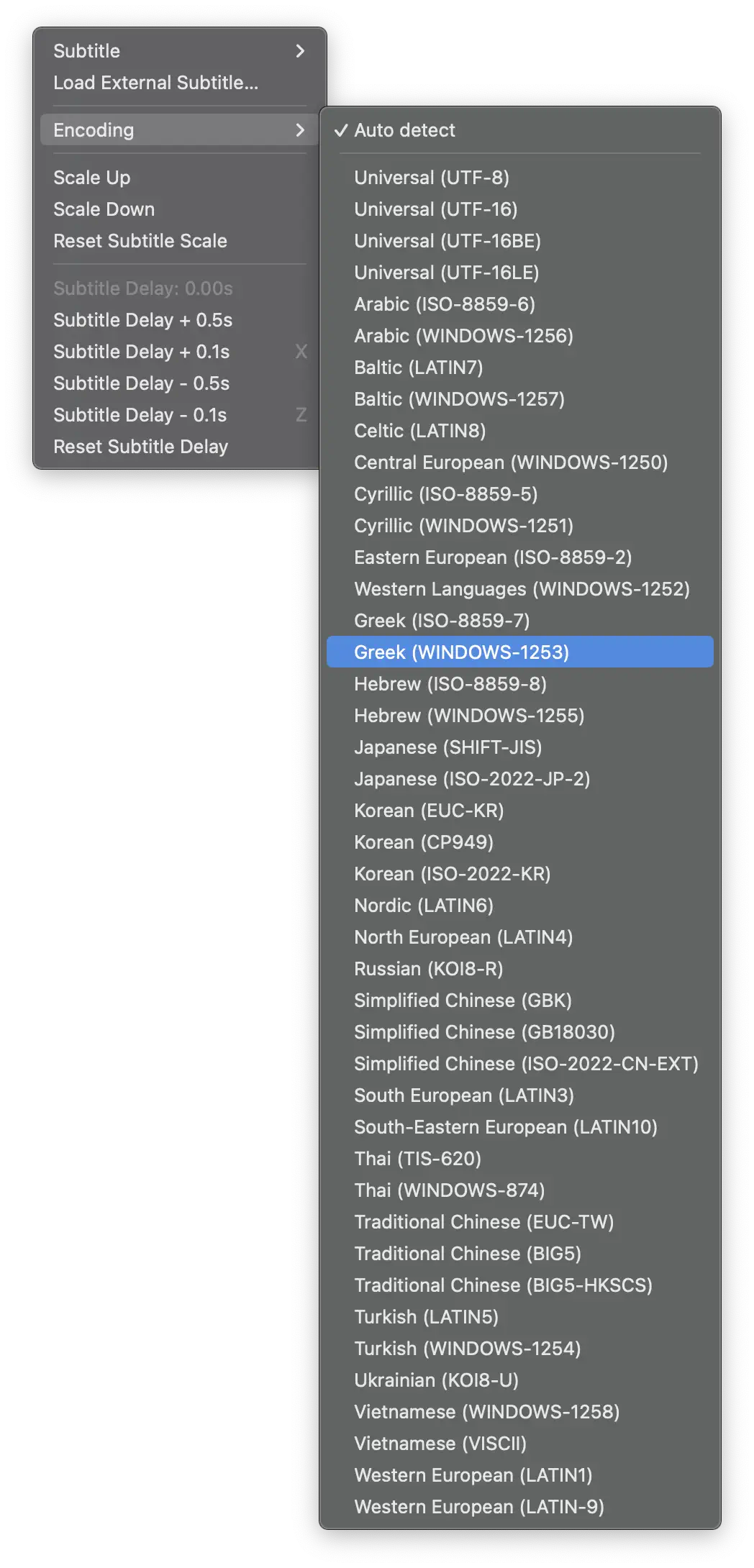 VueSpot subtitle encoding menu