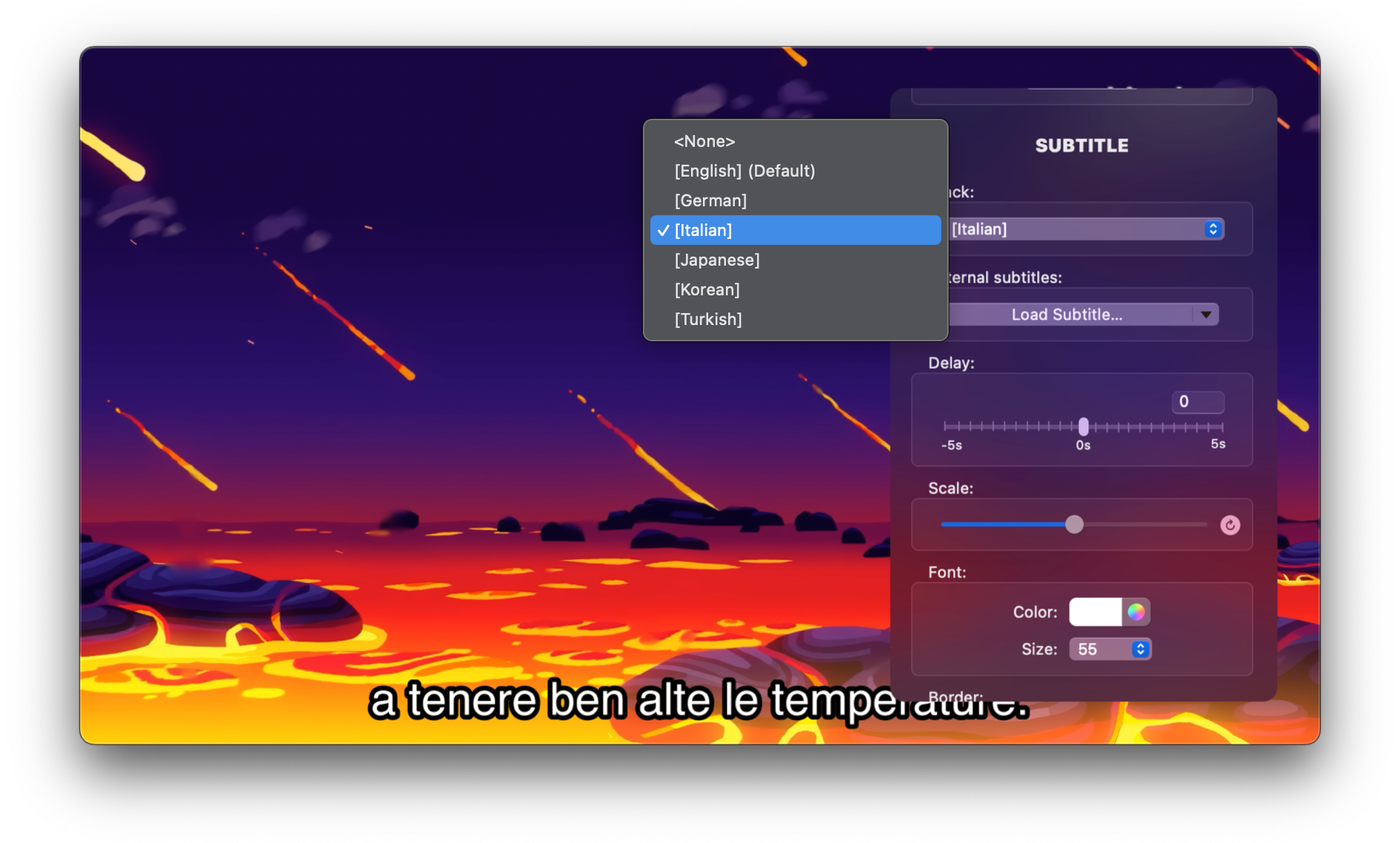 VueSpot subtitle encoding menu