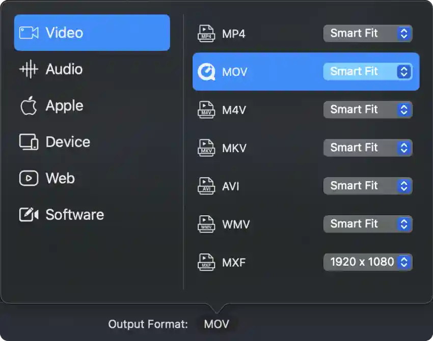 Siovue Video Converter main interface